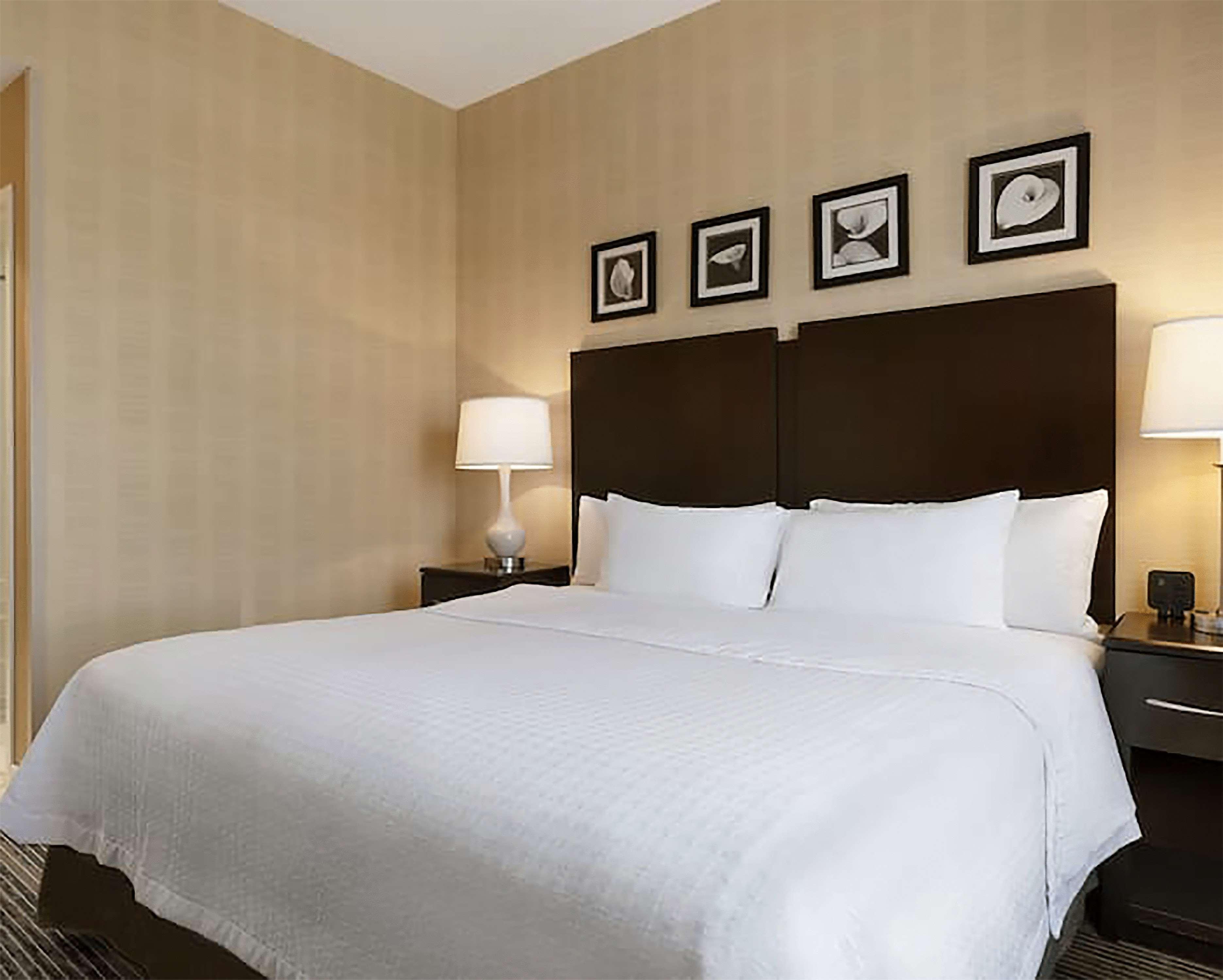 Homewood Suites By Hilton Newtown - Langhorne, Pa Buitenkant foto